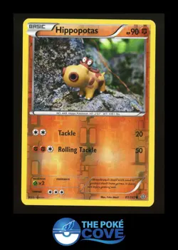 Hippopotas 87/160 | Primal Clash Reverse Holo | Pokemon Common | DMG Yuka Morii - Image 1
