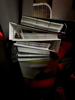 Massive Pokemon TCG Card Lot *Read Description!* - Image 2