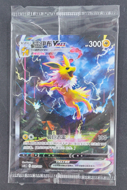 Jolteon VMAX 009/009 2024 Eevee Gift Box Special Art Chinese Graded Pokemon - Image 1