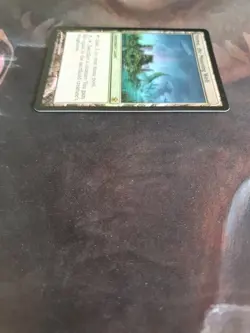 MTG Miren, the Moaning Well Saviors of Kamigawa 163/165 Foil Rare - Image 5