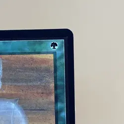 MTG Camouflage Beta 1993 Black Border Uncommon Vintage Magic Card LP - Image 4