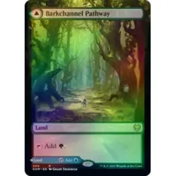 FOIL BARKCHANNEL PATHWAY (BORDERLESS) Kaldheim KHM Magic MTG MINT CARD - Image 1