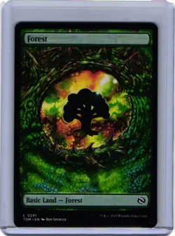 Forest (0291) Tarkir: Dragonstorm Regular - Image 1