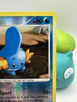 Mudkip 116/147 Supreme Victors Reverse Holo Adorable Cards Great Condition - Image 3