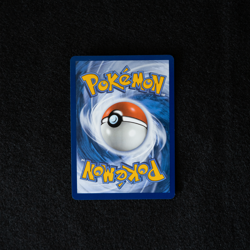 Pokemon Center Charcadet Promo from the Phantasmal Flames PC ETB - Image 2