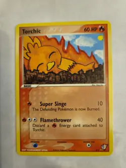 Pokemon 2004 Kids' WB Creator 3 Card Collection Treecko, Torchic, & Wurmple - Image 3