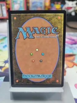 Choco, Seeker of Paradise (Extended Art) R 0479 NON FOIL FINAL FANTASY FIN MTG - Image 2