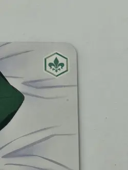 Weiss Schwarz Rose Gushing over Magical Girls OS02/R02-029S R Aragiki Kiwi - Image 4