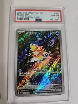 Magikarp Holo Illustration Rare Paldea Evolved Card 203/193 Sv02 PSA 8 - Image 1