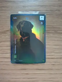 Wonders Of The First, The First Formless Foil Promo Plus Extras - Image 3