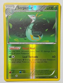 Pokemon TCG - Serperior, 6/114, Reverse Holo, Black and White - Image 2