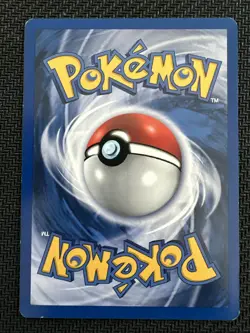 Pokemon Cards Totodile 81/111 1ST EDITION Neo Genesis WOTC Common NM - Image 2