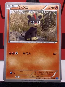 Litleo 014/080 XY2 Japanese Common Regular Pokemon TCG 2014 NM - Image 3