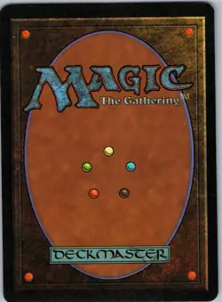 Memory Lapse C Homelands 32 LP - Image 2