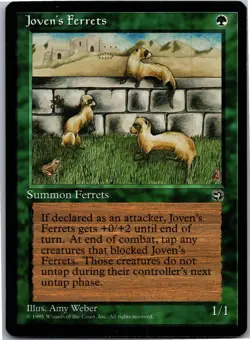 Joven's Ferrets C Homelands LP - Image 1