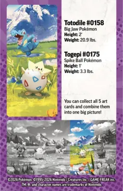 Pokemon TCG: Mega Evolution—Ascended Heroes Mini Tin: Togepi & Totodile - Image 3