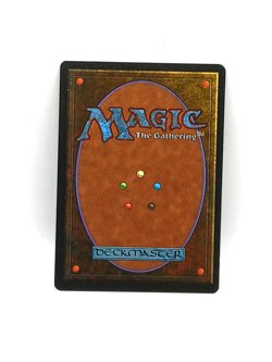 MTG Legends Arboria NM - Image 2