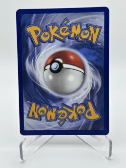 Litten 044 First Partner Illustration Collection Holo Promo Pokemon English NM - Image 2