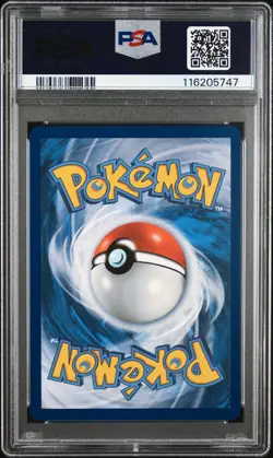 Pokemon PSA 10 Braviary 214/191 Ssp En Surging Sparks Illustration Rare 2024 - Image 2
