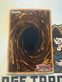 Harpie's Pet Dragon - FMR-002 - Promo Prismatic Secret Rare - Yugioh HP - Image 5