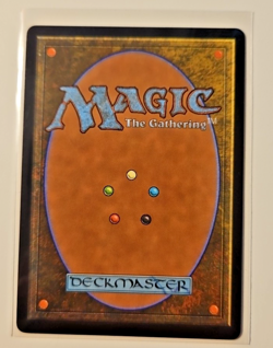 Elegant Parlor 0325 Borderless Rare Murders at Karlov Manor Regular MTG NM - Image 3