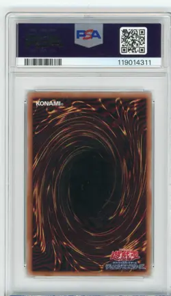 PSA Signed Eric Stuart & Dan Green YU-Gi-Oh! Yugi & Seto Kaiba Token QCDB-JPT01 - Image 2