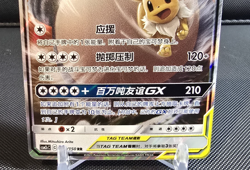 Pokemon PTCG Sun&Moon Eevee & Snorlax-GX CSM2cC 103/150 RR Chinese Tag Team - Image 4