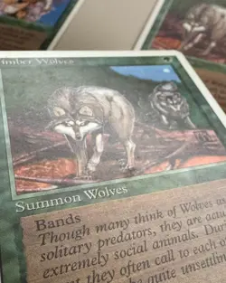 Timber Wolves +4 Playset- MTG - REVISED (3rd) - ENGLISCH - ©1994 NM/M rare - Image 2
