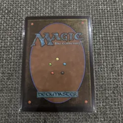 MTG FOIL Plains APAC Promo - Year Of The Horse 2026 - English - A - Image 3