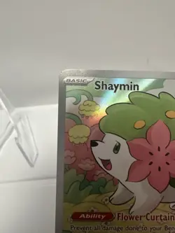 Shaymin 185/182 Destined Rivals Illustration Rare Pokemon TCG NM IR - Image 5