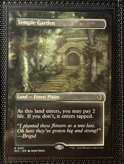 MTG Borderless land lot: Hallowed Fountain/Temple Garden/Steam Vents/Blood Crypt - Image 2