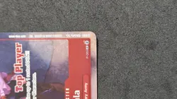Koala P 069 Top Player One Piece Card Game Special Tournament Promo Tcg - Image 4