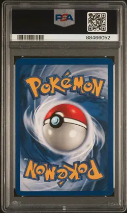 Pokemon TCG Dratini Team Rocket 53/82 Regular Unlimited PSA 8 - Image 2