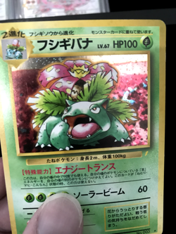 Pokemon Venusaur CD Promo Japanese Edition *LP - Image 4