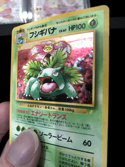 Pokemon Venusaur CD Promo Japanese Edition *LP - Image 5