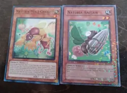 yugioh naturia mixed lot - Image 3
