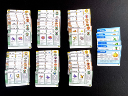 Pokemon e-Battle Cards Ruby & Sapphire Series 1 Complete 54 Set With Berries - Image 1