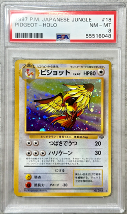 Pokemon Card Japanese Pidgeot Holo Rare PSA 8 NM-Mint, Jungle Set #18, 1997 - Image 1