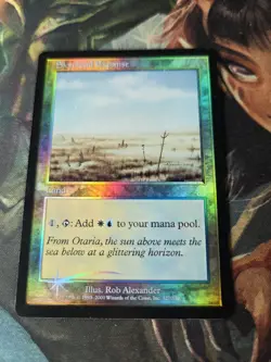 Foil Magic The Gathering - Odyssey Skycloud Expanse #327/350 MTG LP - Image 2