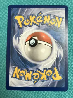 Pokemon TCG Squirtle 148 /142 Stellar Crown IR illustration Rare - Image 3