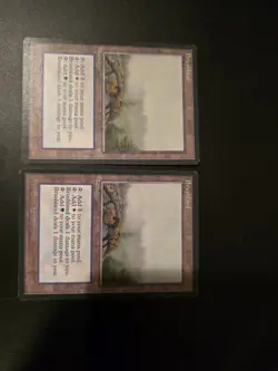 Brushland x2 Ice Age Regular - Image 1