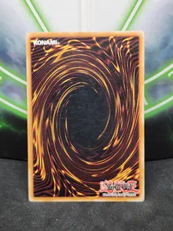 Yugioh Winged Kuriboh DP1-EN005 Rare Unlimited NM - Image 2