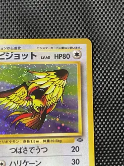 Pidgeot Holo Jungle No. 018 Pokemon Japanese Card - Image 3