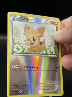 (NM) Lillipup Black Star Promo BW52 Reverse Holo Pokemon TCG Card 317a-57 - Image 3