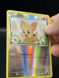 (NM) Lillipup Black Star Promo BW52 Reverse Holo Pokemon TCG Card 317a-57 - Image 4