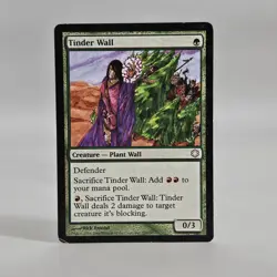 MTG Magic The Gathering Card 270/303 Tinder Wall Ice Age LP - Image 1