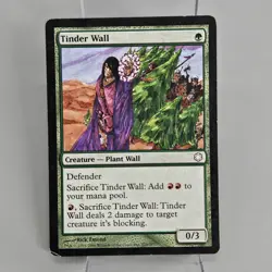 MTG Magic The Gathering Card 270/303 Tinder Wall Ice Age LP - Image 2