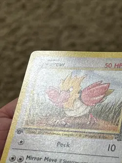 Pokemon Spearow 62/64 (1st Edition) Jungle (Never Played) *Near Mint* - Image 2