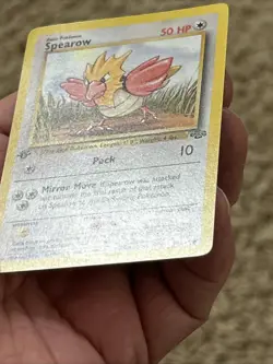 Pokemon Spearow 62/64 (1st Edition) Jungle (Never Played) *Near Mint* - Image 4