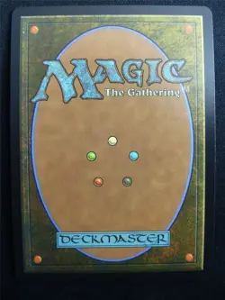 Wakka Devoted Guardian Chocobo Track Foil - FIC - Mtg Card #3F5 - Image 2